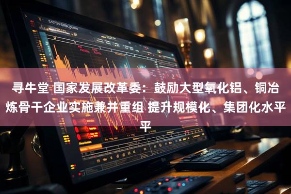 寻牛堂 国家发展改革委：鼓励大型氧化铝、铜冶炼骨干企业实施兼并重组 提升规模化、集团化水平