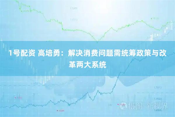 1号配资 高培勇:解决消费问题需统筹政策与改革两大系统