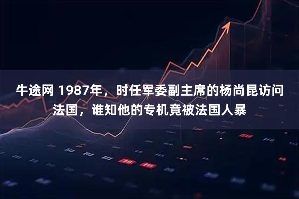 牛途网 1987年，时任军委副主席的杨尚昆访问法国，谁知他的专机竟被法国人暴